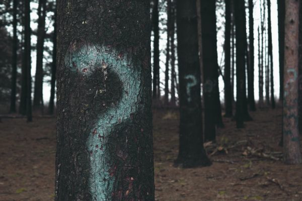 trees with question mark on them - FAQs