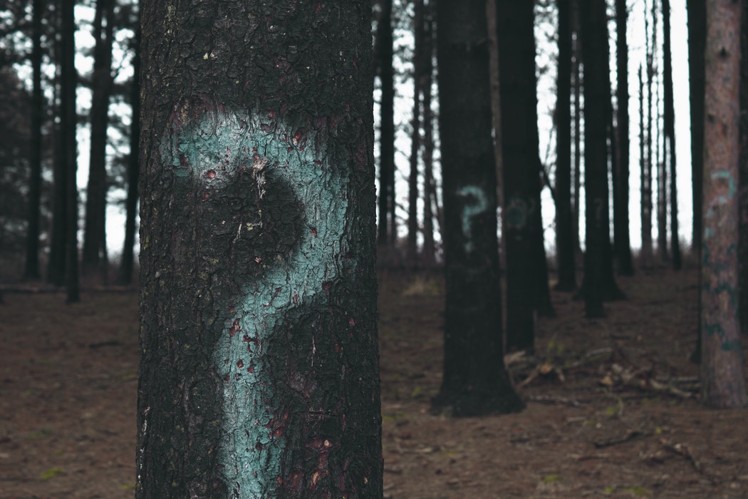 trees with question mark on them - FAQs